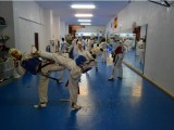 El Club Jang, de Jumilla, participará en el Campeonato de España de Taekwondo