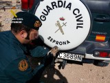 La Guardia Civil recupera un ejemplar herido de cernícalo en La Alquería