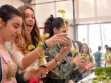 Estudiantes de Jumilla, Murcia, San Javier y Fuente Álamo descubren la piña hidropónica en la UPCT