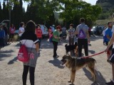 Ladra, Camina y Aprende un nuevo éxito de participación a beneficio de los perros del Albergue