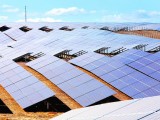 Iberdrola invertirá 30 millones en su primera planta fotovoltaica en la Región que se encontrará entre Jumilla y Yecla