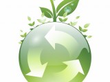 Jumilla mejora sus cifras de reciclaje en casi todos los tipos de residuos