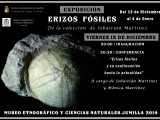 Hoy se inaugura la exposición “Erizos fósiles” en el Museo Etnográfico
