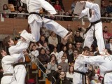 Cinco oros y una plata para los taekwondistas jumillanos del Club Jang en el Interprovincial Escolar de Castilla-La Mancha