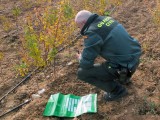 La Guardia Civil destapa en Jumilla y Abarán una trama dedicada a multiplicar variedades de vegetales protegidas