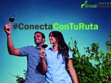 Rutas del Vino de España lanza el concurso #ConectaConTuRuta