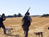 Sale a concurso público los 5 años de caza en montes de Jumilla