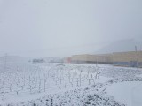La nieve llega a las sierras de El Carche y Santa Ana en el municipio de Jumilla.