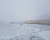 La nieve llega a las sierras de El Carche y Santa Ana en el municipio de Jumilla.