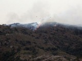 Incendio en las zonas del Carche, Sopalmo y El Hornillo.