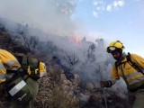 Extinguido por completo el incendio en El Carche, se sigue trabajando en Sopalmo y Sierra Larga
