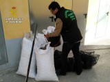 La Guardia Civil desmantela un grupo delictivo dedicado a la sustracción de productos agrícolas
