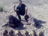 La Guardia Civil denuncia a cinco personas por la caza ilegal de hembras y crías de jabalí