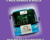 El lunes acaba el plazo para poder inscribirse en los autobuses que habilita la Asociación de Tambores para acudir a las Jornadas Nacionales de Exaltación de Mula