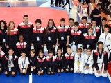 Los taewkondistas del Club Jang obtuvieron cuatro medallas de plata y una de oro en el Campeonato en Edad Escolar y Regional Cadete de Valdepeñas