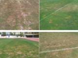 IU-Verdes ya alertó hace más de un mes del deterioro del césped del campo de fútbol