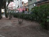 El sindicato CCOO en el ayuntamiento de Jumilla denuncia el trato del gobierno local para con el servicio de jardines municipal destacando que pretenden desmantelar el servicio
