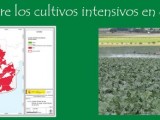 Stipa organiza una jornada sobre cultivos intensivos en el Altiplano