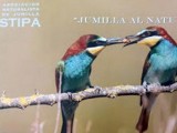 Stipa prepara su calendario ‘Jumilla al natural 2019’ y te invitan a formar parte de el con tus fotografías