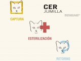 La Concejalía de Salubridad pone en marcha CER Jumilla para el control de colonias felinas