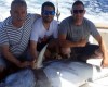 Los jumillanos Pedro David Martínez, José y Manuel Coloma junto a Juan Angel Belda capturan un atún rojo de 190 kilos practicando pesca deportiva en Denia