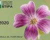 STIPA te invita a participar en su calendario ‘Jumilla al natural’ 2020