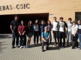 Nueve alumnos del IES Infanta Elena  realizaran proyectos con investigadores profesionales