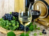 Destinan 125.000 euros a promocionar los vinos de Jumilla en Asia