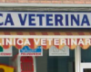Encuentra en clínica veteriania  Centrofauna  todo lo que necesitas paras tus mascotas-