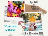 Cultura organiza el Festival de Poesía Online ‘Esperando la lluvia’ del 19 al 23 de octubre