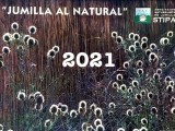 Abierto el proceso de selección de fotografías para publicarse en el próximo calendario 2022 “Jumilla al natural” de STIPA.