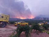 La alcaldesa de Jumilla, Juana Guardiola, comunica la declaración de zona catastrófica del área del incendio de Jumilla