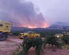 La alcaldesa de Jumilla, Juana Guardiola, comunica la declaración de zona catastrófica del área del incendio de Jumilla