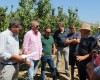 El consejero de Agricultura en funciones, Antonio Luengo, ha visitado una de las zonas afectadas por el reventón térmico en Jumilla