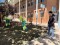Jardines y Medio Ambiente renuevan zonas verdes en Jumilla