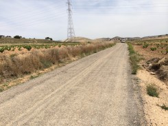 caminos-rurales-jumilla