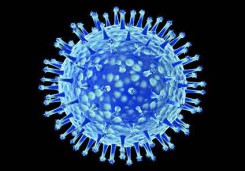 virus_gripe
