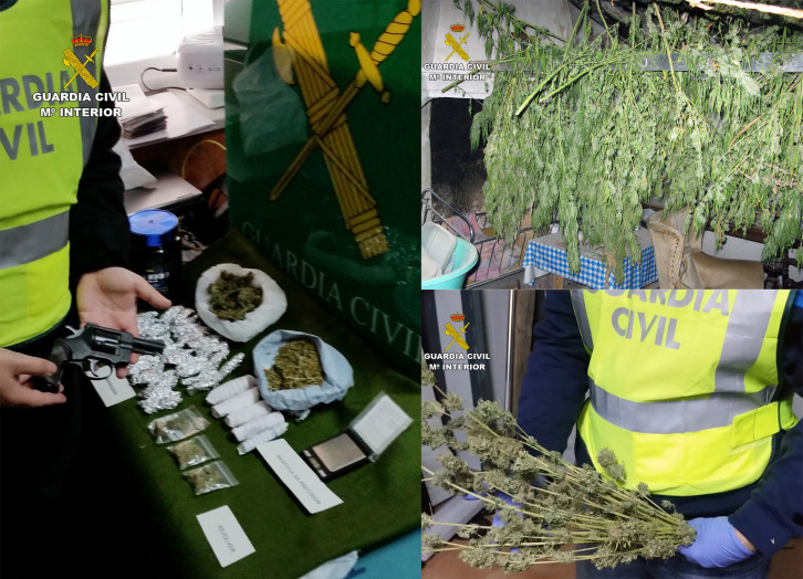 20161024-op-pesto-cultivo-y-venta-marihuana-jumilla-tres-2